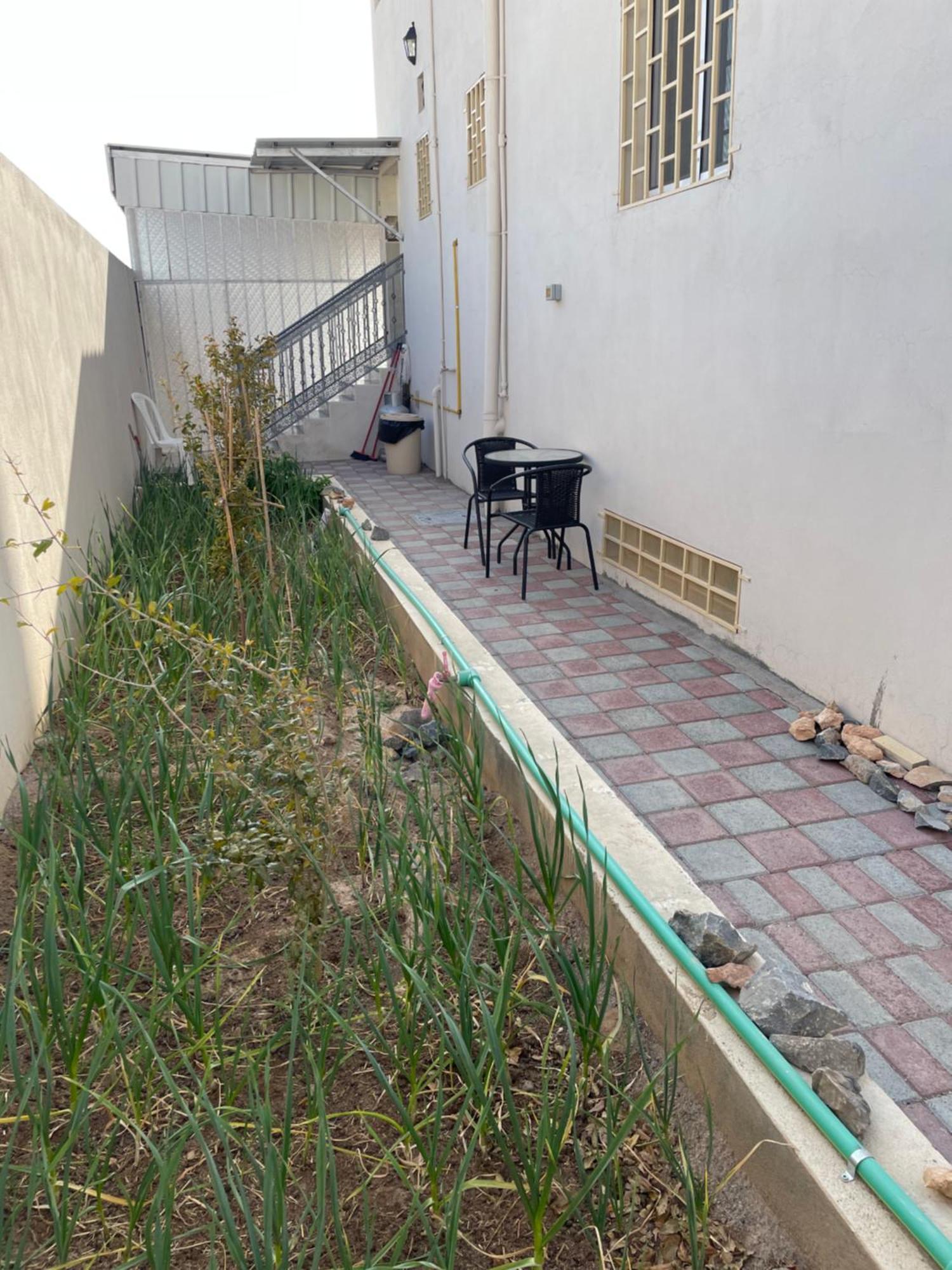 Apartment In Bayt Al Jabal شقة في بيت الجبل Sayq Εξωτερικό φωτογραφία